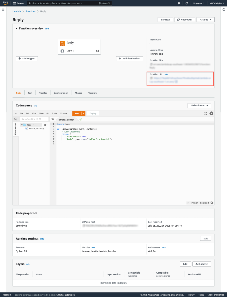 Description function for AWS Lambda