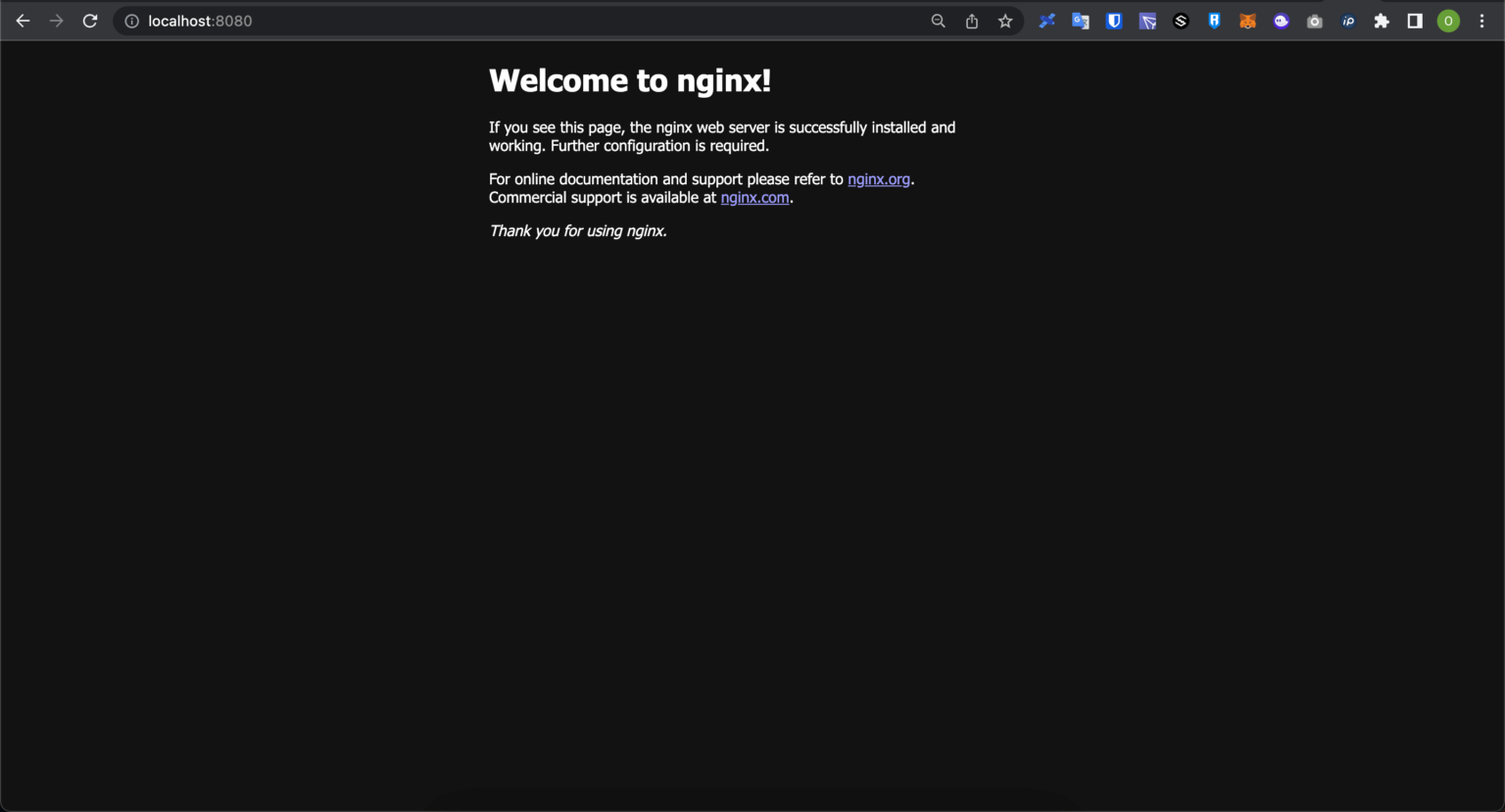 Open Browser localhost:8080